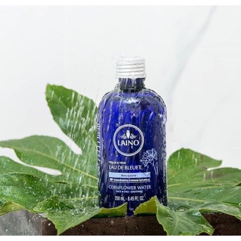 Nước hoa hồng organic Laino Eau de Bleuet cho làn da và đôi mắt siêu nhạy cảm (Pháp)