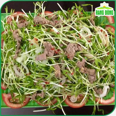 Hạt Giống Rau Mầm Rau Muống Dễ Trồng, Nhanh Thu Hoạch, Nhiều Chất Dinh Dưỡng (gói 100 gr) - Hạt giống Rạng Đông