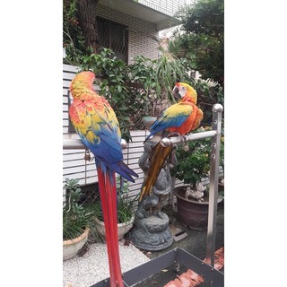 Xích chân và ổ khoá chuyên dụng cho vẹt Macaw và cockatoo