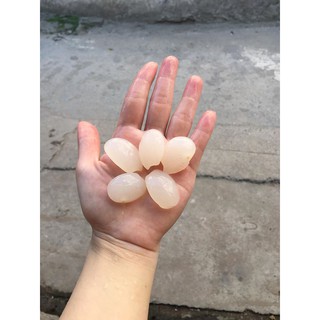 Hạt Đác - Sỉ Số Lượng Lớn Tại Hà Nội Đi Các Tỉnh