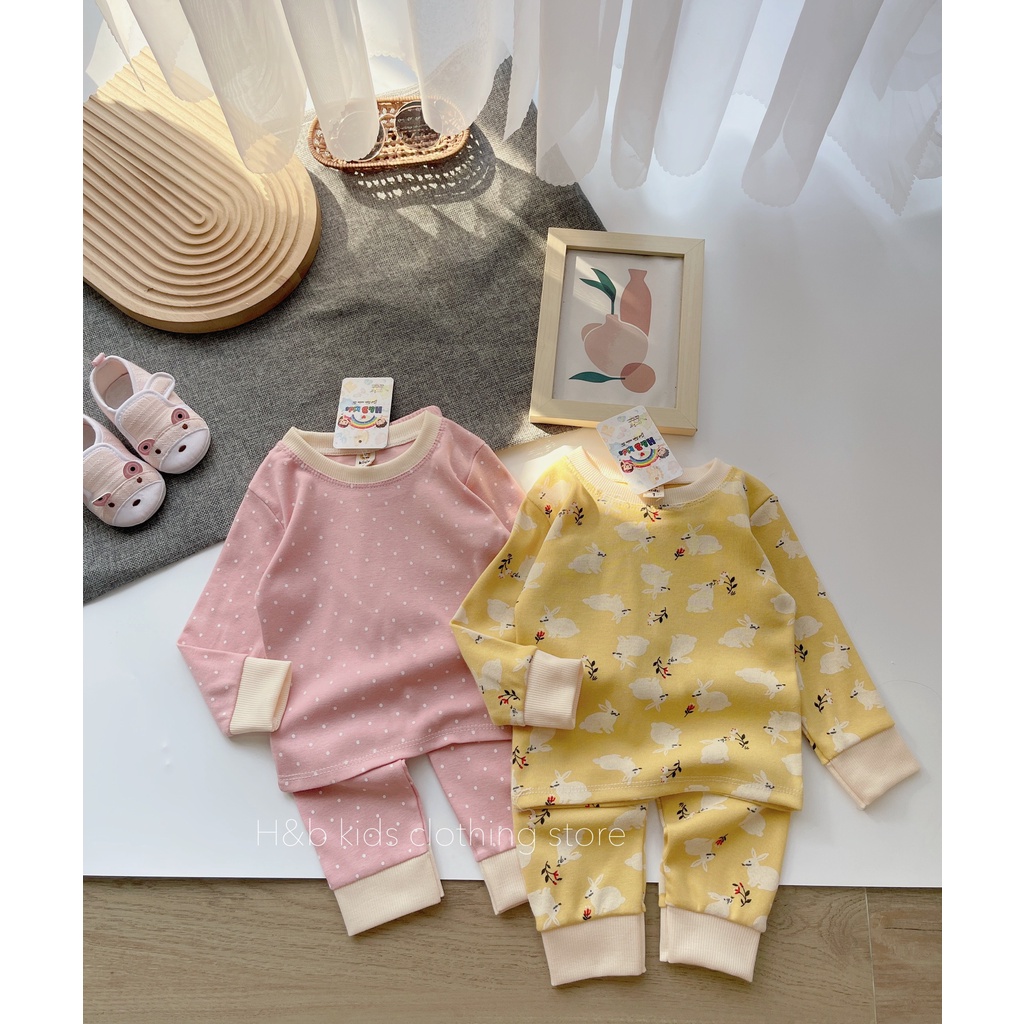 Bộ dài tay cho bé gái Vintage bo gấu chất cotton Zip hàn xịn đẹp dễ thương (8-20kg)