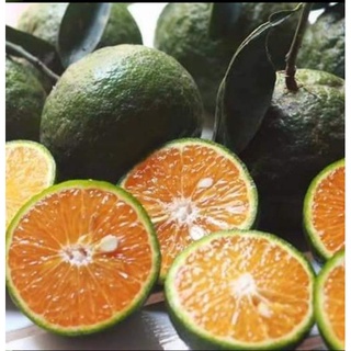 Cam nhà trồng miền tây 1kg