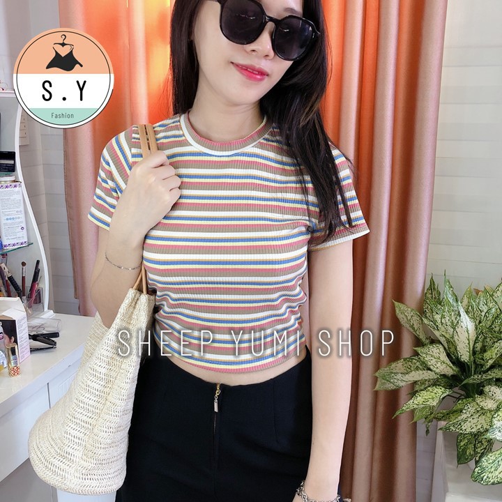 ÁO CROPTOP SỌC NGANG THUN TĂM TAY NGẮN SHEEP YUMI SHOP AC05 | BigBuy360 - bigbuy360.vn