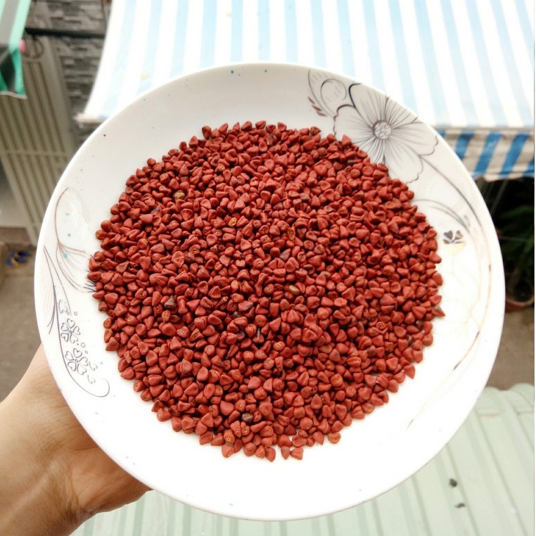 [100g-500g] Hạt điều đỏ tạo màu - SỈ GIÁ TỐT