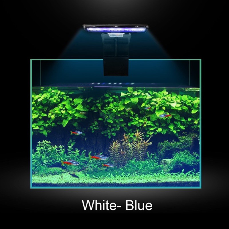 Đèn Led kẹp Vipsun M180 chuyên dụng cho hồ cá