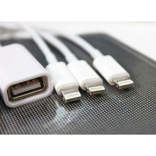 Cáp Lightning USB OTG Cho iPhone, iPad 4, iPad Mini, iPad Air
