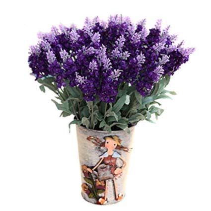 Hạt Giống Hoa Oải Hương tím- Lavender gói 50hạt