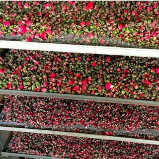 100gr Nụ hoa hồng Tây tạng