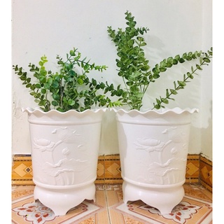 chậu hoa cánh sen
