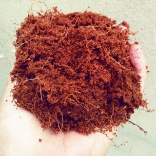 (giá rẻ) Xơ dừa nghiền (mùn dừa) túi nhỏ