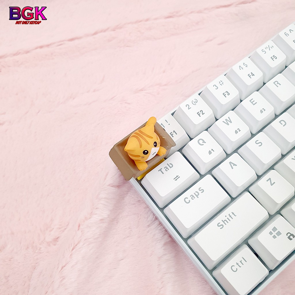 Keycap lẻ hình Mèo Con Trong Hộp siêu dễ thương Keycap Artisan