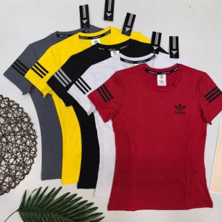 Áo thun đục lỗ laze