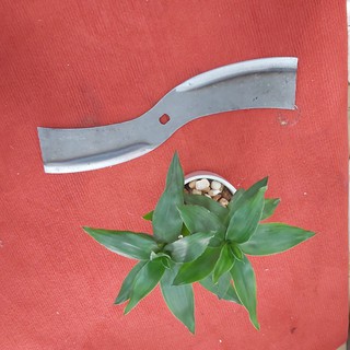 Lưỡi dao máy thái chuối, băm cỏ voi rau bèo