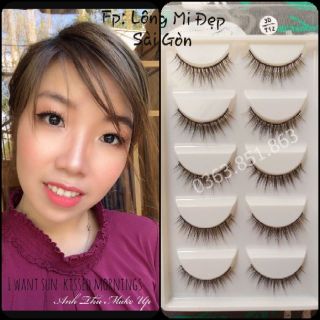 Lông mi 3D, lông mi chồn (3D-T12)