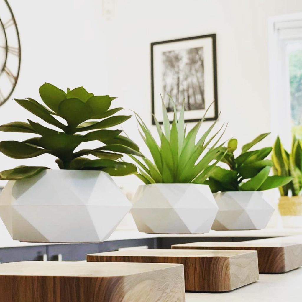 Chậu cây từ Air Bonsai bay lơ lửng nam châm