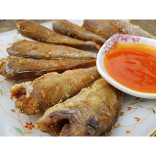 1 KÝ CÁ LÙ ĐÙ 1 NẮNG nguyên con