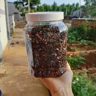 Trà Gạo lứt huyết rồng, đậu đen xanh lòng 1 kg
