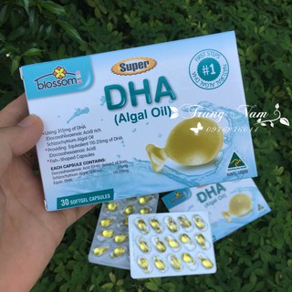 DHA 30/90 Viên Cho Trẻ Trên 4 Tuần Tuổi Blossom Super DHA (Algal Oil)