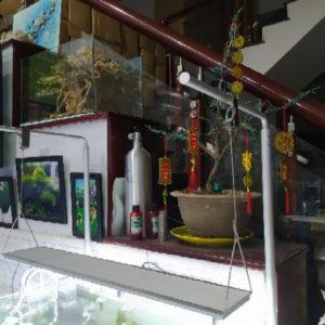 CÁP TREO ĐÈN ĐA NĂNG DÀNH CHO ĐÈN CỦA BỂ THỦY SINH, BỂ CÁ CÓ CHÂN CẮM