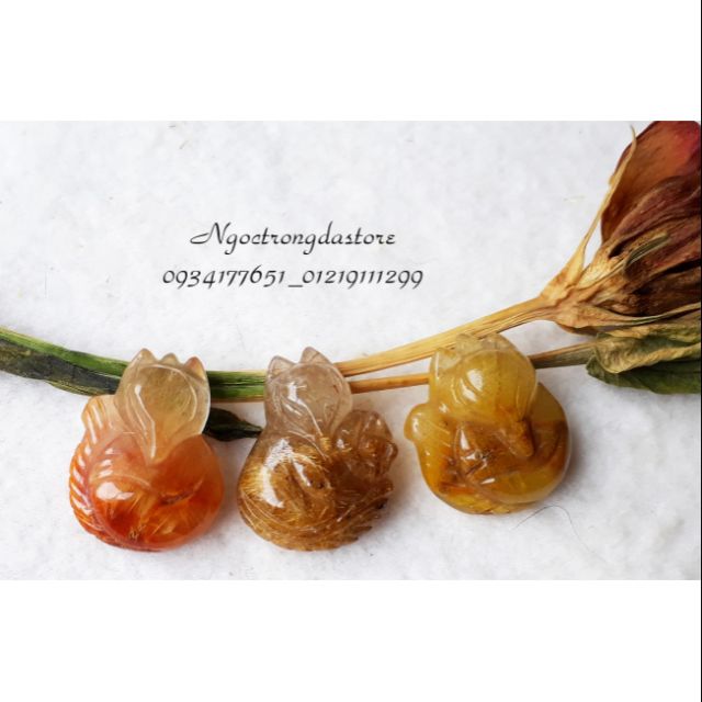 Hồ ly thạch anh tóc