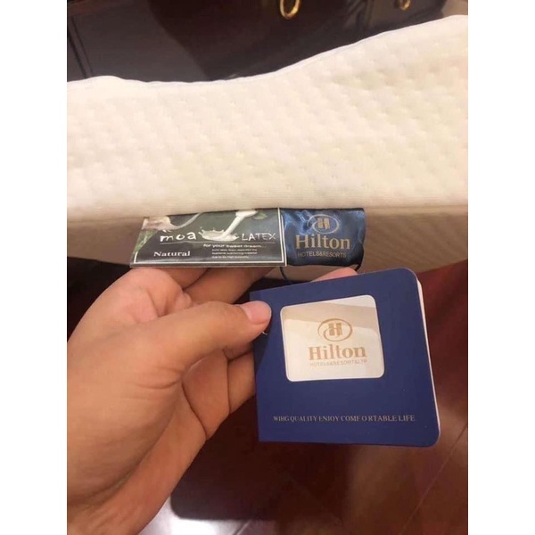 Ruột gối cao su non HilTON