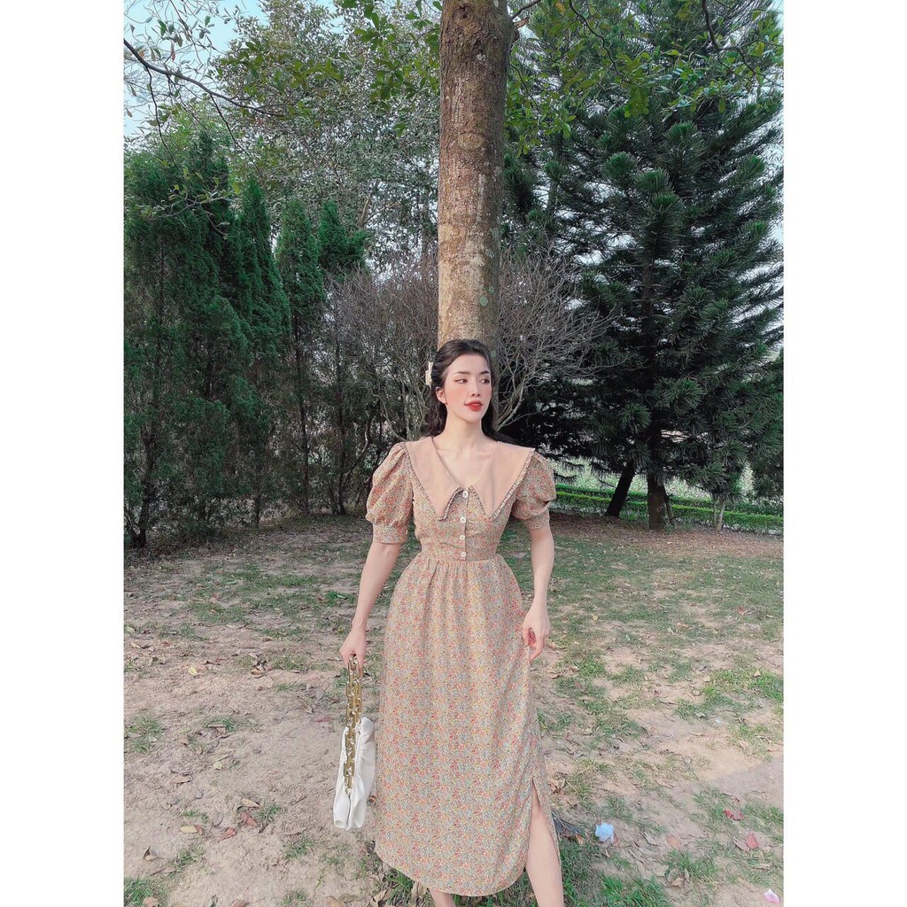 Váy hoa cổ bẻ vintage chất đẹp | BigBuy360 - bigbuy360.vn