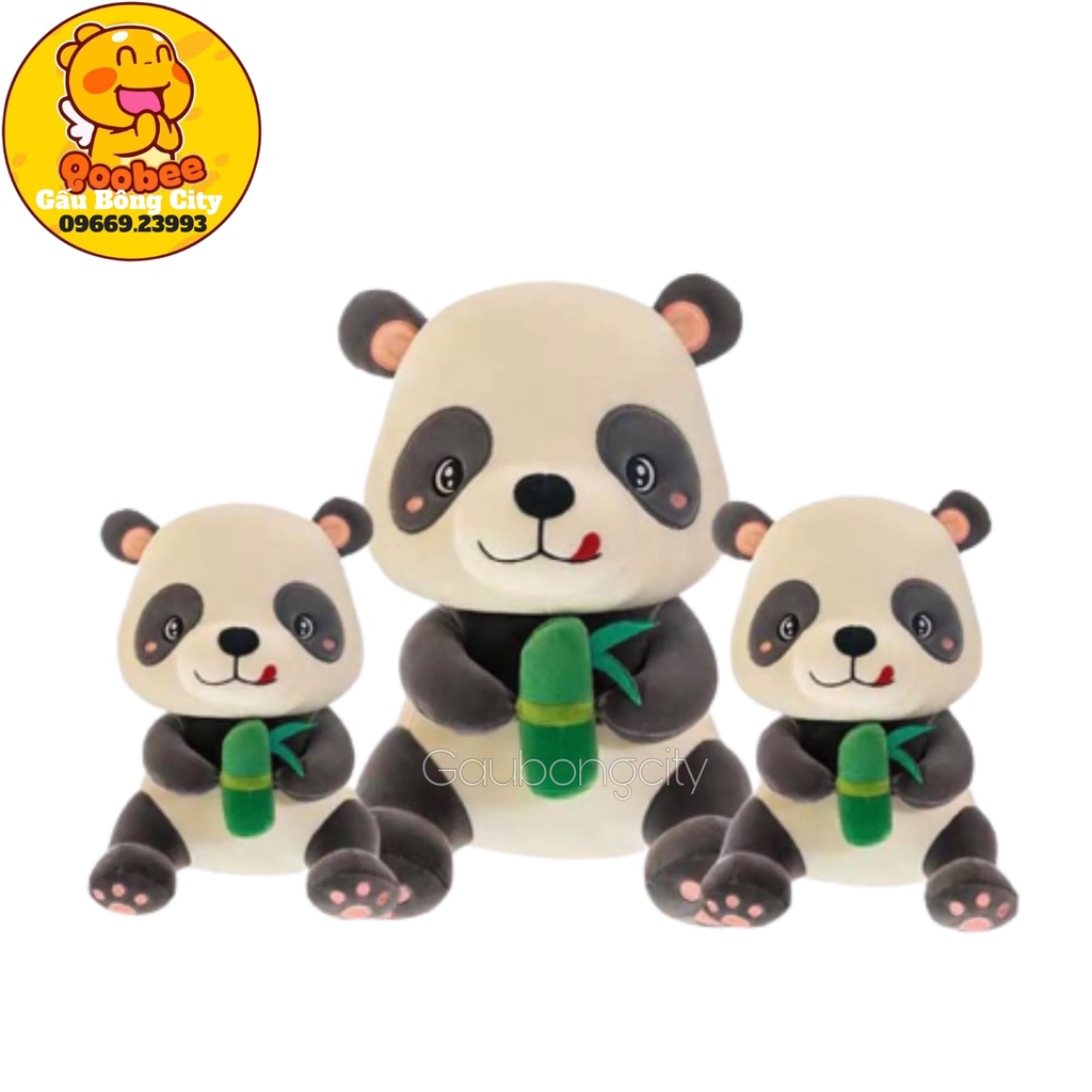 Gấu Bông Gấu Trúc Panda Ngồi - Gấu Trúc Nhồi Bông Cao Cấp