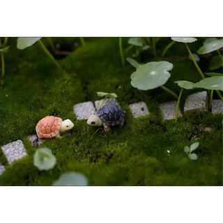 Rùa Núi Đá - Phụ Kiện Trang Trí Tiểu Cảnh Sen Đá/Bonsai, Terrarium