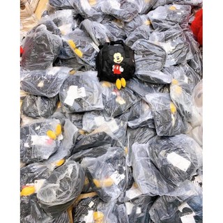 TÚI ZR MICKEY THỜI TRANG