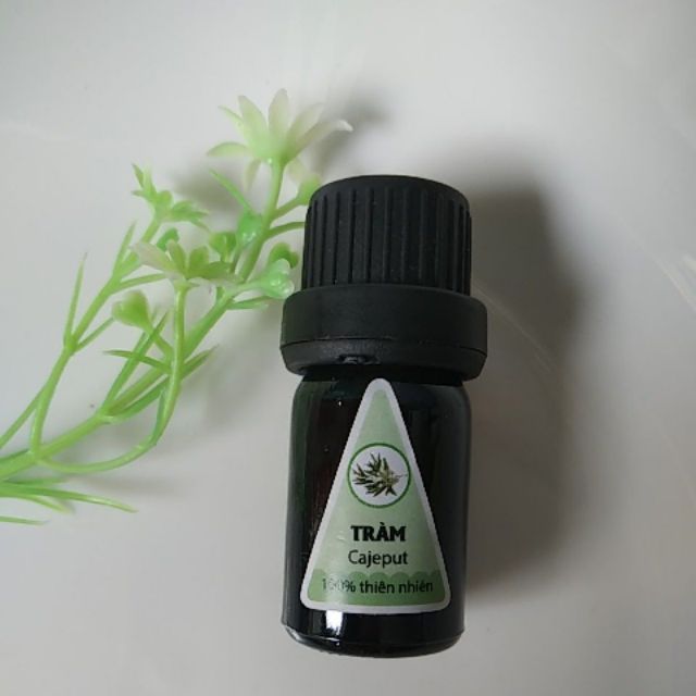 Tinh dầu xông 5ml hương tràm sale sốc. Sản phẩm được ưa chuộng trong spa. Giúp giảm stress, thư thái, thơm phòng