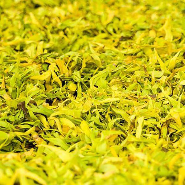 Tinh Dầu Thiên Nhiên Ngọc Lan Tây Nomad Essential Oils Ylang Ylang