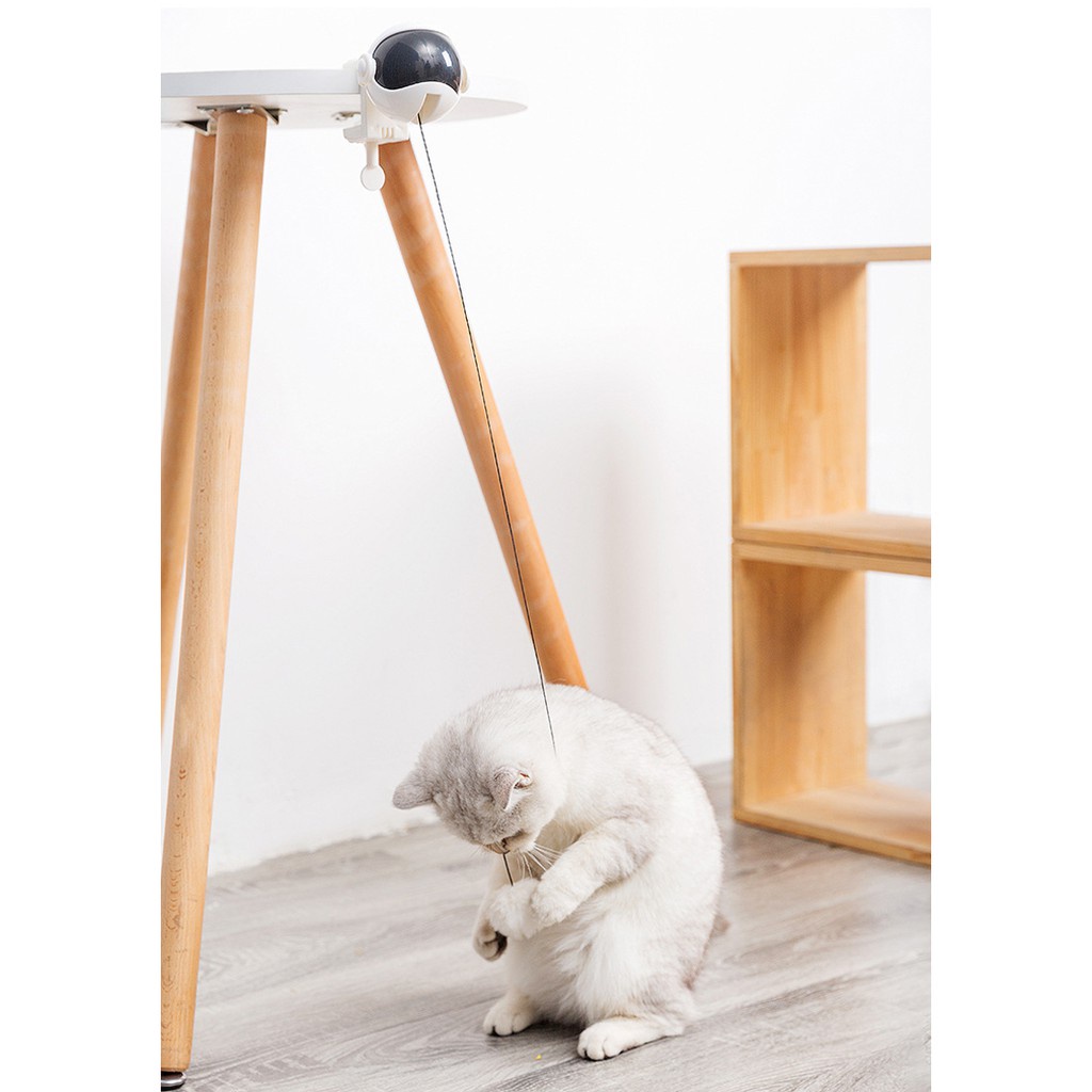 Đồ Chơi Nâng Bóng Tự Động Vui Nhộn Cho Mèo Cưng