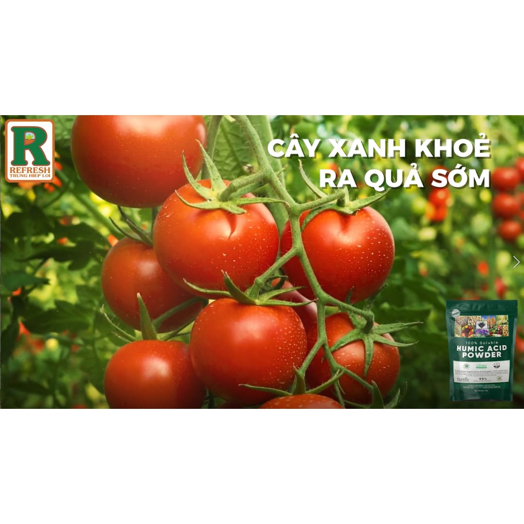 Phân bón Humic Acid Powder nhập khẩu Mỹ 1Kg tặng kèm chai Siêu Ra rễ 150gr