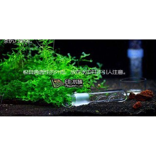 [FREESHIP 99K TOÀN QUỐC] Bẫy Sán Trong Bể Cá