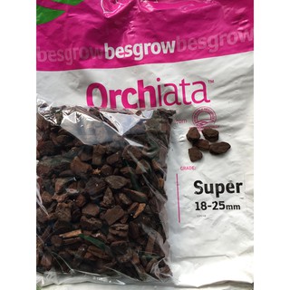 Vỏ Thông Orchiata nhập khẩu 1 kg