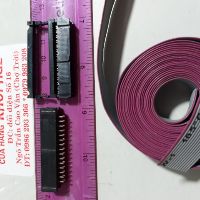 10m Dây cáp bẹ 10p. 95k