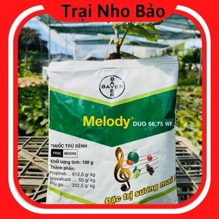 Thuốc melody trừ bệnh sương mai