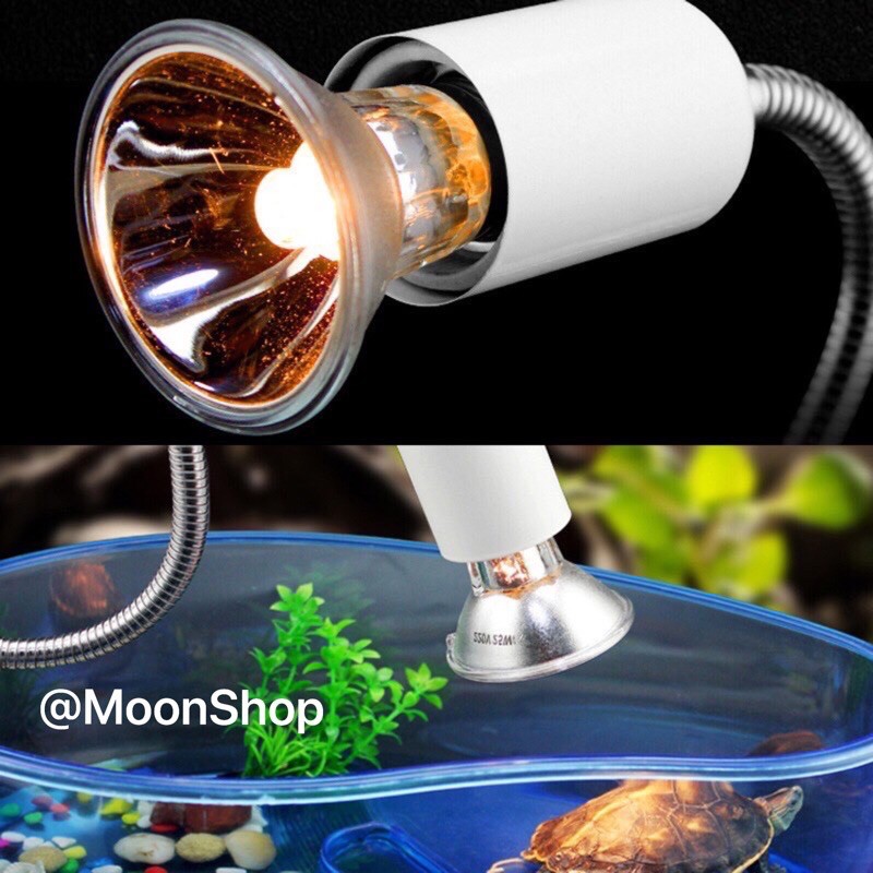 Combo Đèn Sưởi UVB và Kẹp Đèn cho Bò Sát, Rùa, Cá