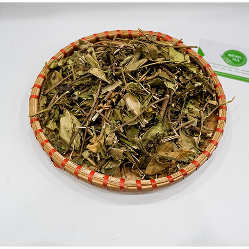 [Mã 267FMCGSALE giảm 8% đơn 500K] Dây thìa canh Hải Hậu | BigBuy360 - bigbuy360.vn