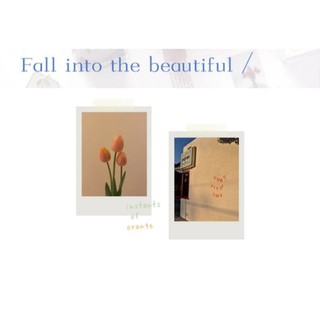 Set Chiết Sticker FALL INTO THE BEAUTIFUL 💕