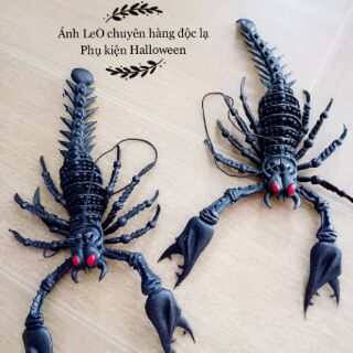 Đồ chơi Gián, rắn, nhện, rết...bằng su