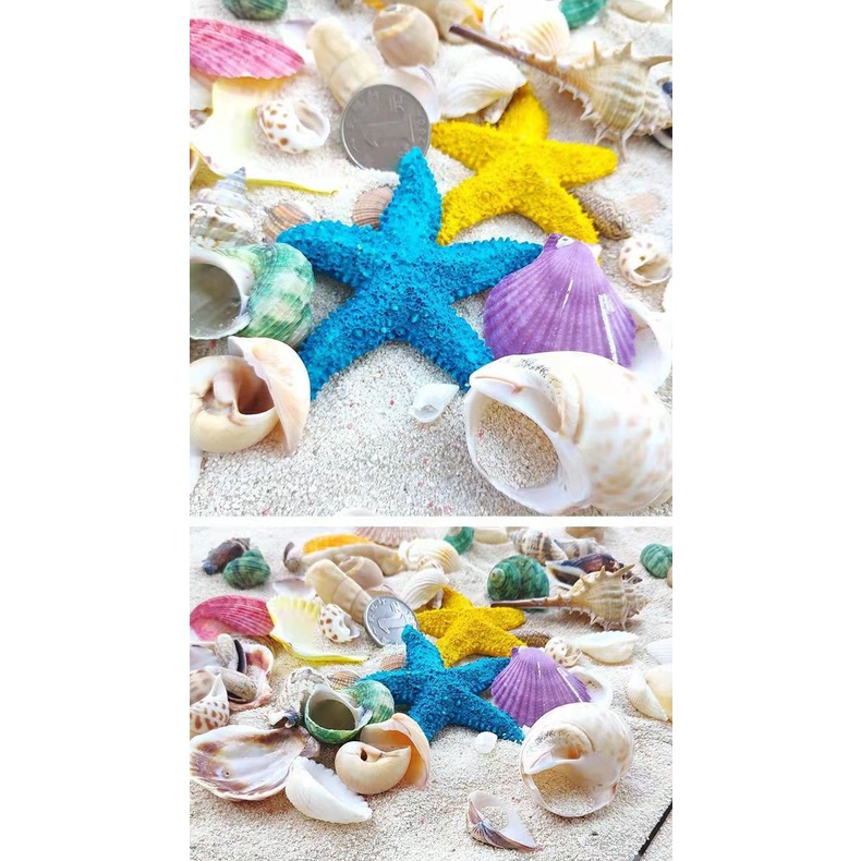 Vỏ Sò / Sao Biển Nhân Tạo Trang Trí Bể Cá