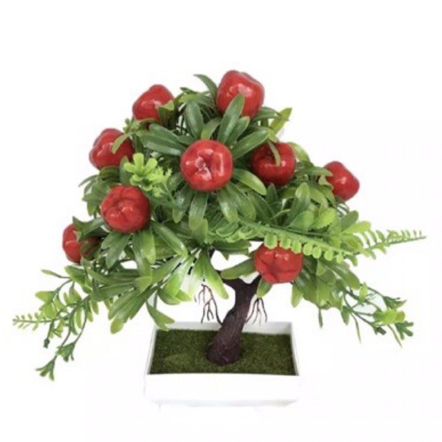 Chậu cây táo trang trí tết / cây nhựa bonsai