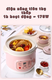 NỒI NẤU CHÁO CHẬM, HẦM CHẬM THÔNG MINH LOTOR 2L