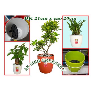 Chậu nhựa tròn cao cấp htp đk 21cm