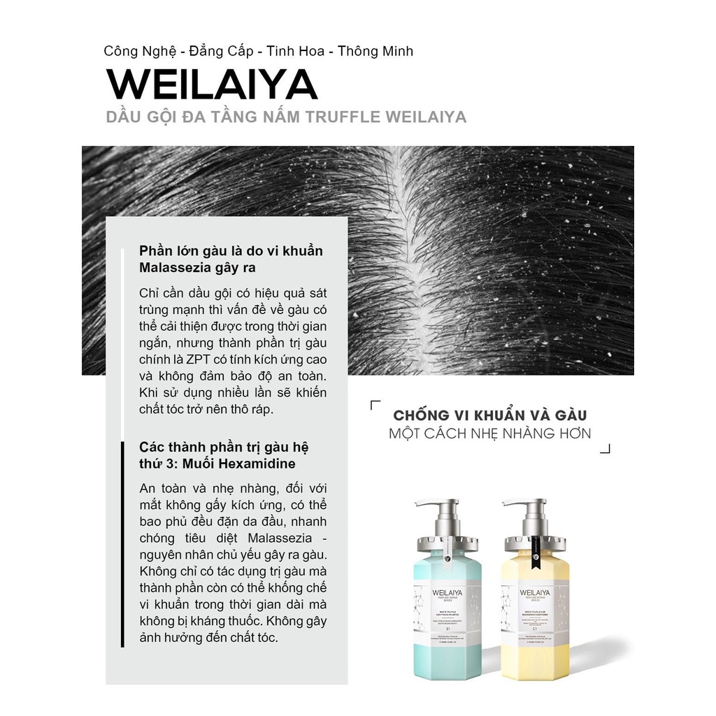 Bộ dầu gội phục hồi tóc Weilaiya HOKA  chính hãng cho tóc nhuộm làm sạch gàu ngừa nấm hương nước hoa 450ml
