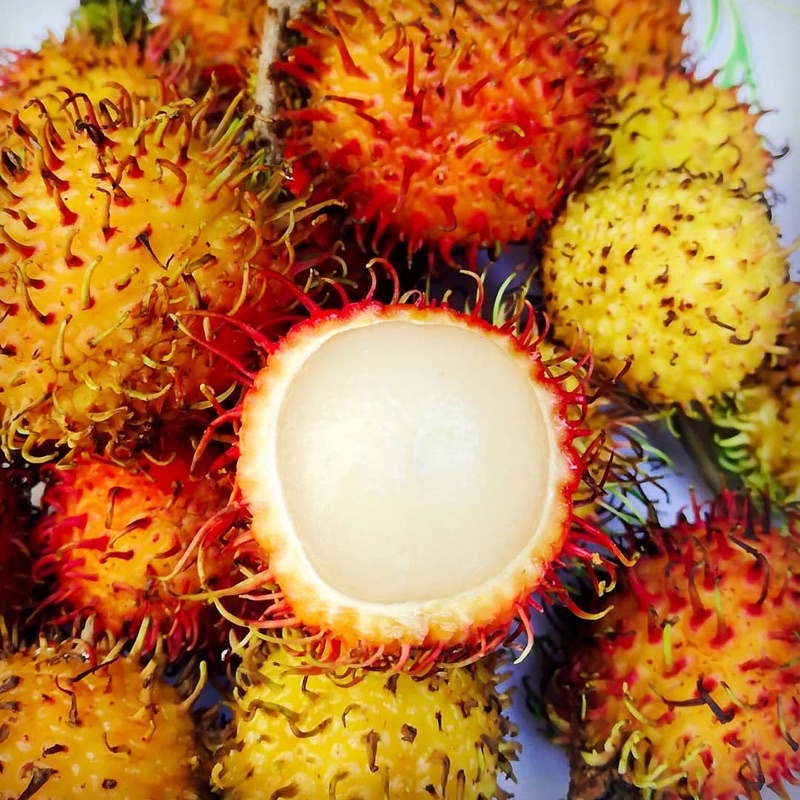 CHÔM CHÔM NHÃN 1KG