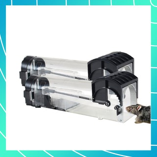 HỘP BẨY CHUỘT THÔNG MINH