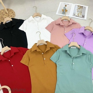 Áo pull cổ bẻ nhiều màu sắc dáng ôm