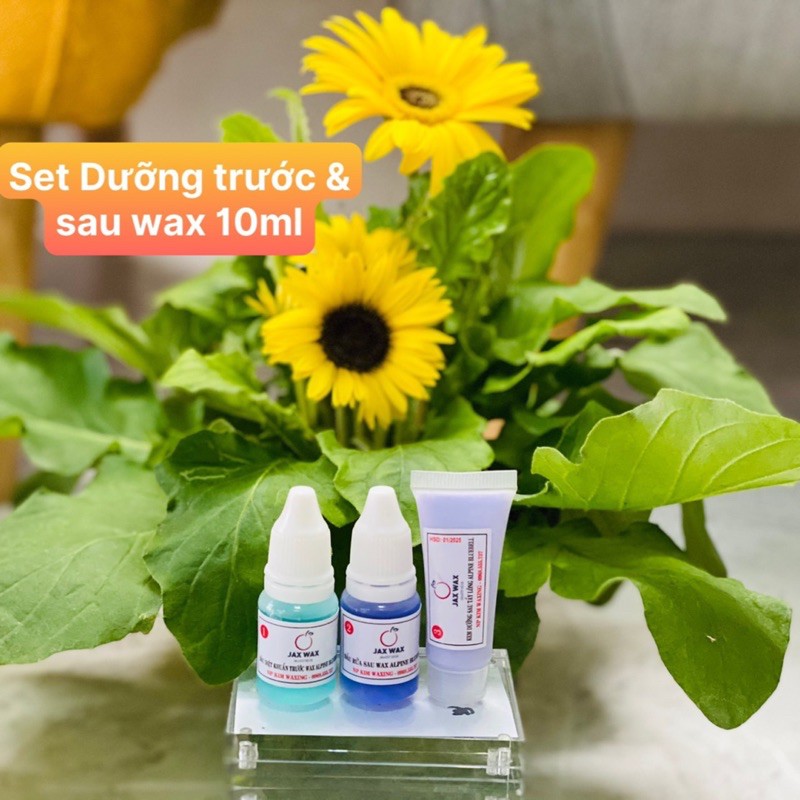 Set dầu diệt khuẩn làm sạch - dầu lau sáp - dưỡng sau tẩy lông Jax Wax Úc 10ml
